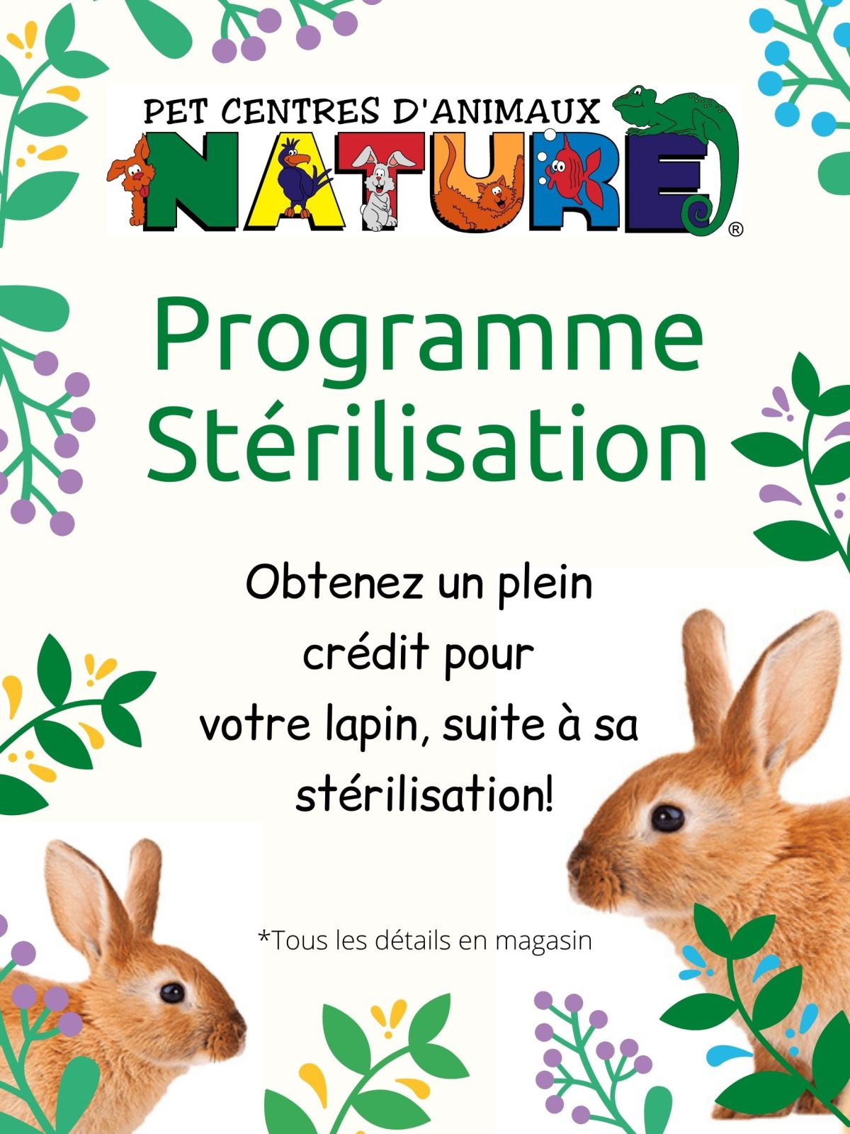 Programme Stérilisation Lapins Centre d'Animaux Nature
