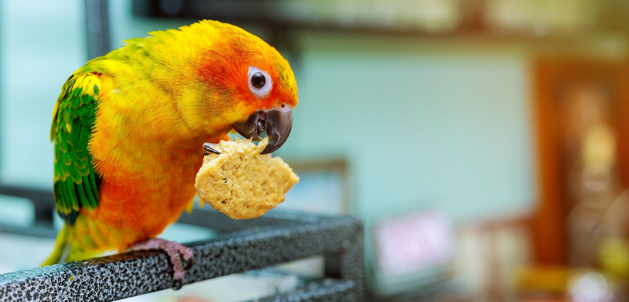 bird_cropped