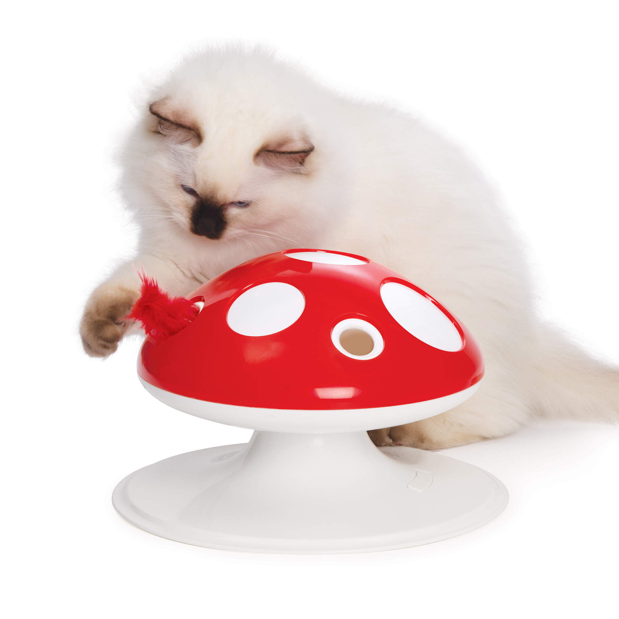 Catit Senses Mushroom Interactive Toy For Cats Centre D Animaux Nature