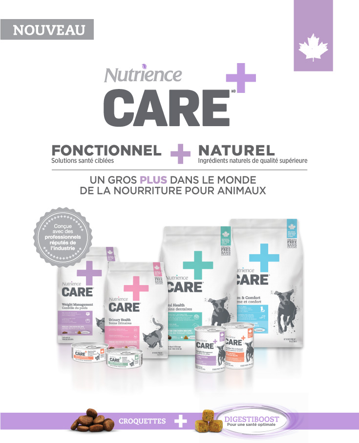 Nutrience dog clearance food petsmart